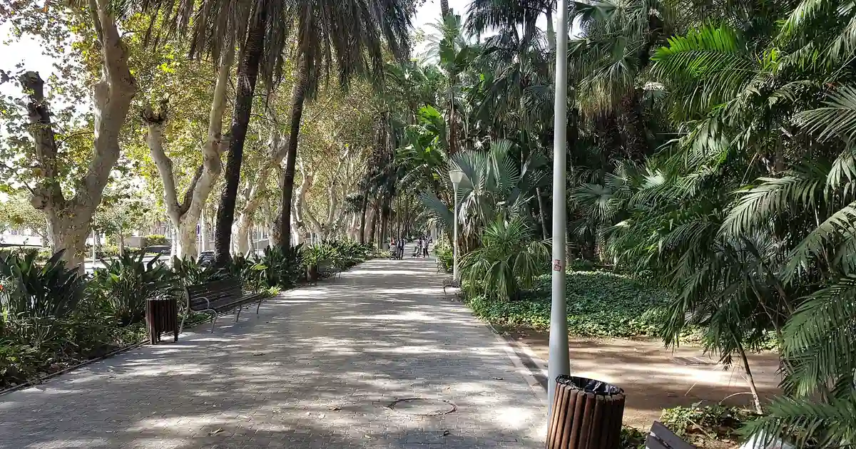 Tree-lined walkway in Paseo de España park, Malaga – free to walk any time of day