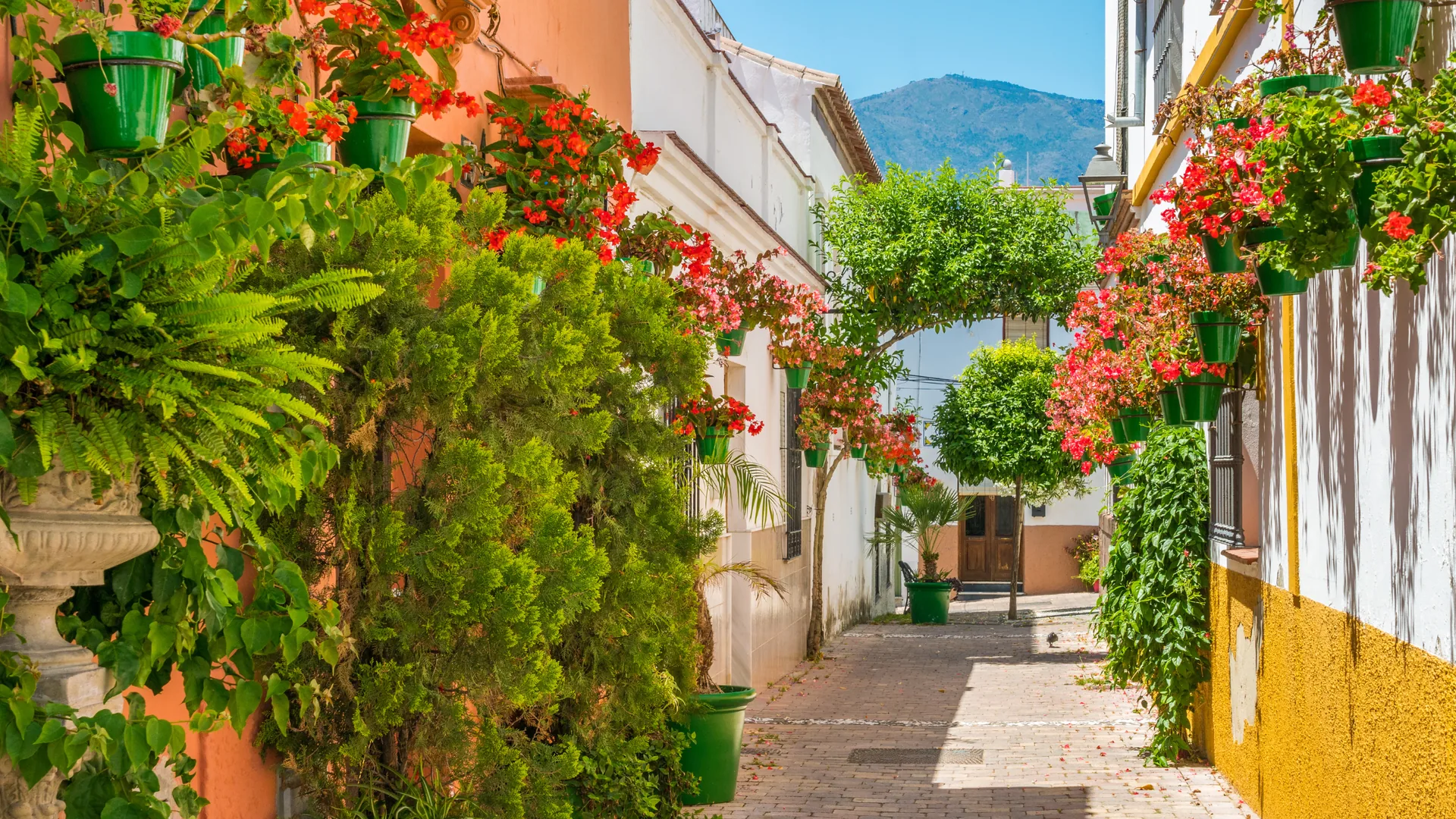 Estepona