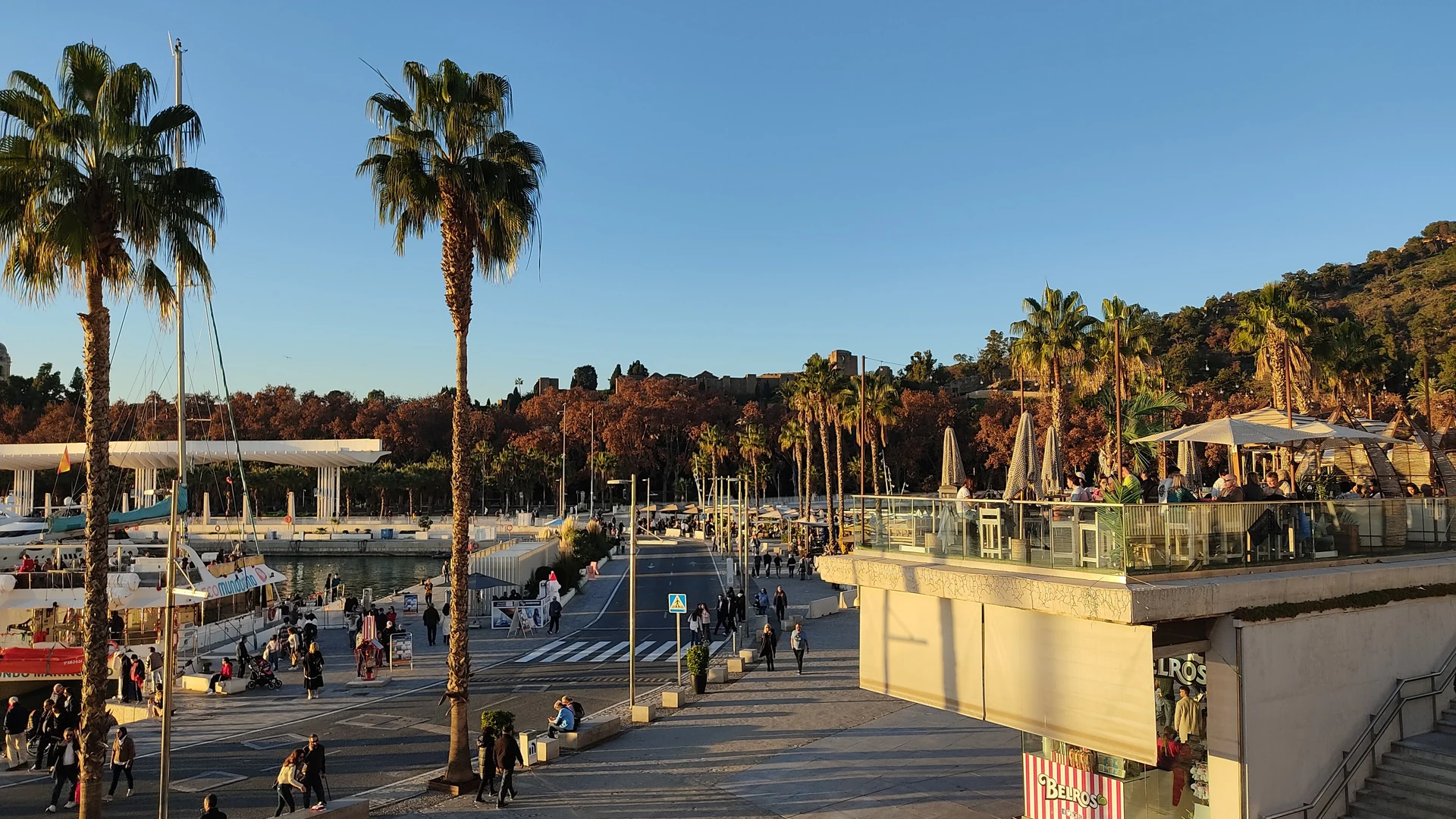 Sea View Hotels in Málaga: Four Put It in the Room, Three Put It on a Roof